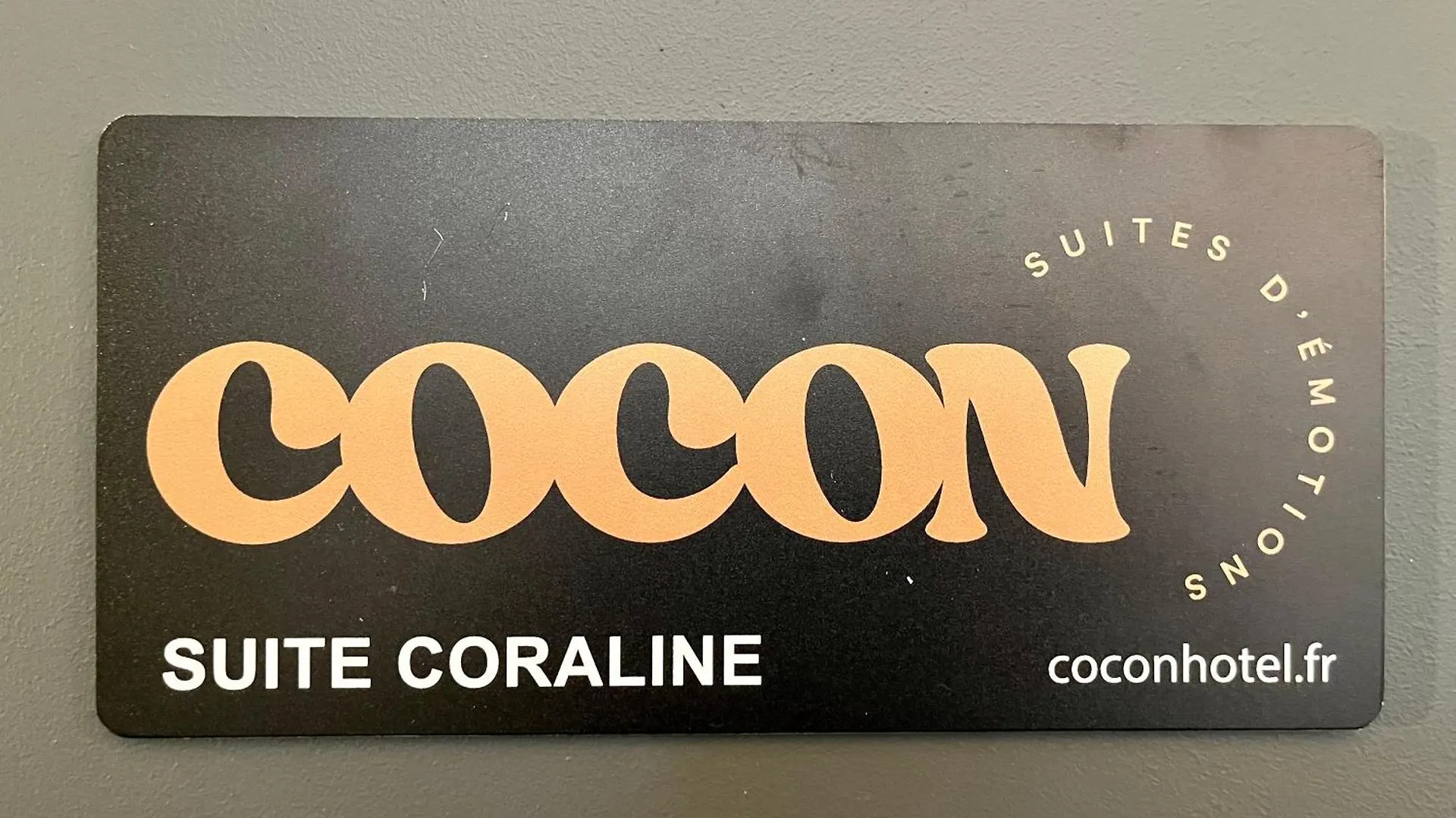 Apartment Suite Coraline Lyon